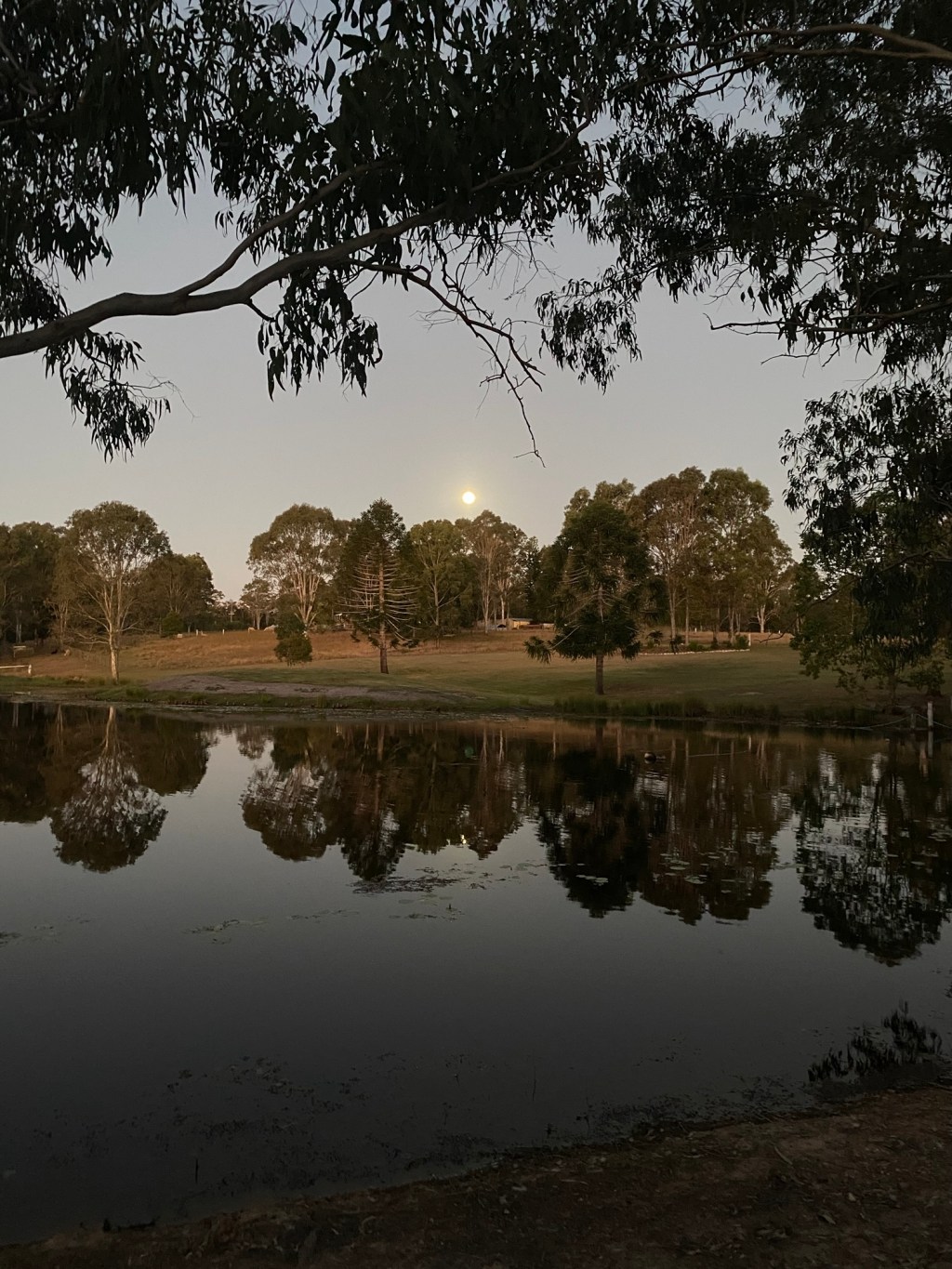 Lunar Eclipse In&nbsp;Pisces