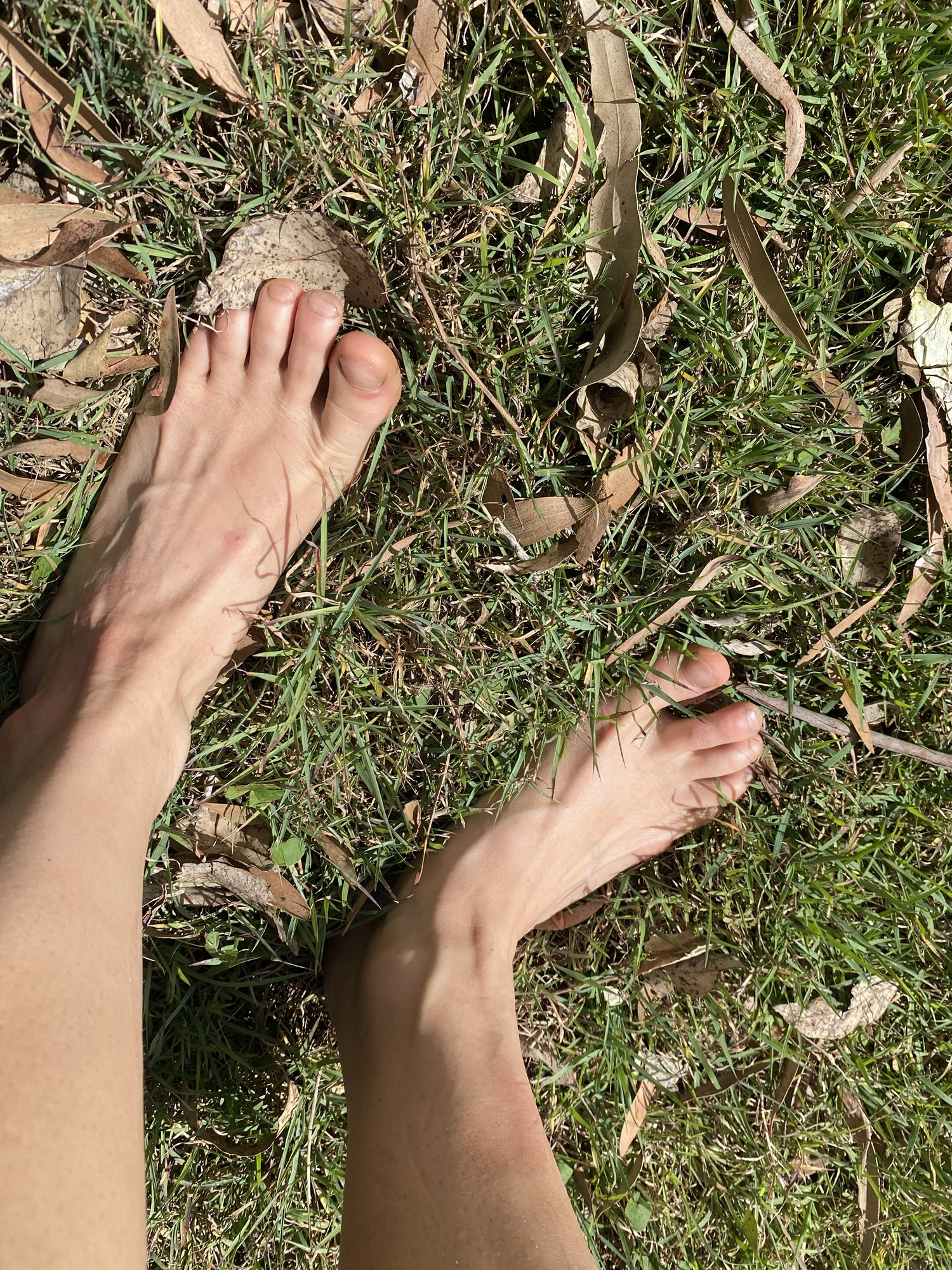 Earthing