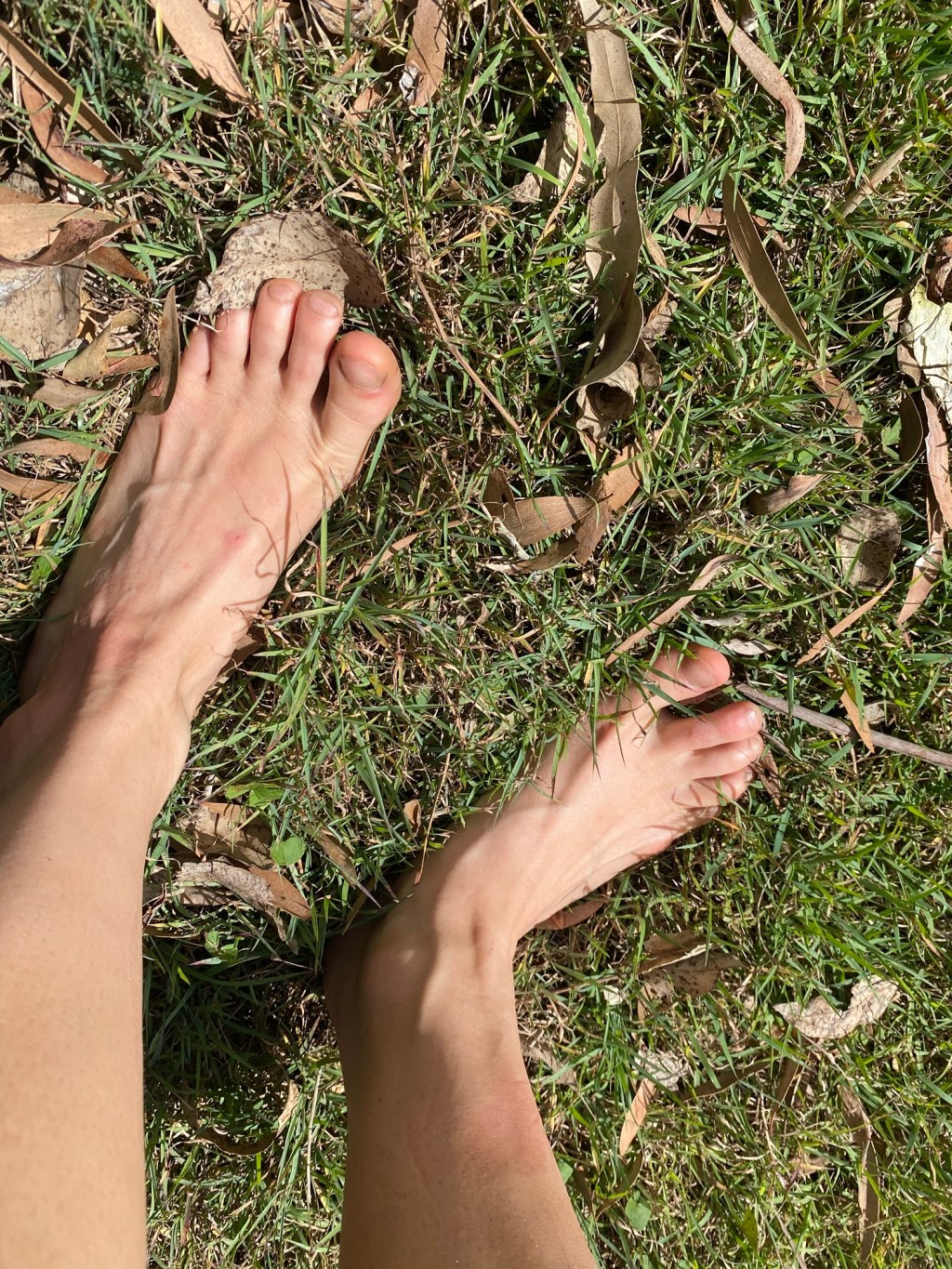 Earthing